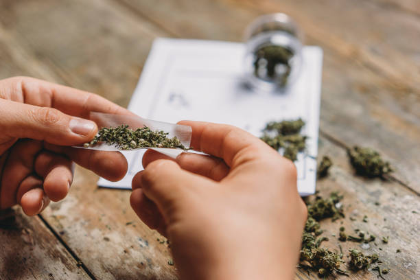 Top 10 Reasons to Buy Weed Online in Canada Today